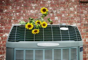 flowers-on-outdoor-HVAC-unit