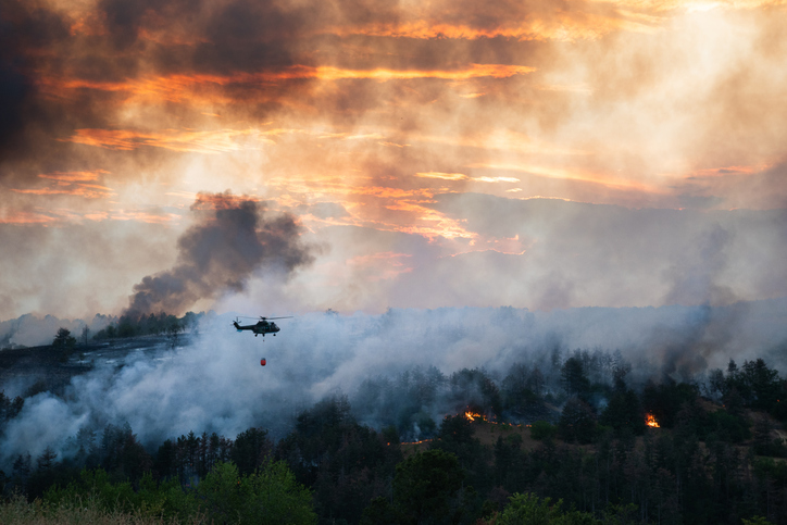 Firefighter helicopter is flying over forest wildfire, dumping water from a bucket to put out the fire. A helicopter drops water onto burning land
